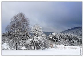20121205-1522-Les Vosges sous la neige