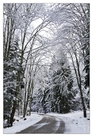 20121205-1523-Les Vosges sous la neige