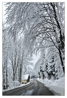20121205-1533-Les Vosges sous la neige