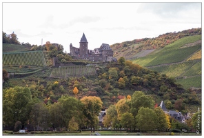 20151007-095 3851-Vallee du Rhin Lorch Vue sur Bacharach et Burg Stahleck