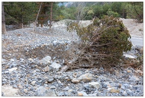 20190928-077 0203-Vallee de la Claree Coulee de boue