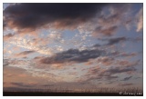 20090829182311-dc6a85c8.jpg