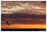 20090829182353-8c7cad87.jpg
