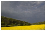 20100516-Campagne_lorraine-2594.jpg