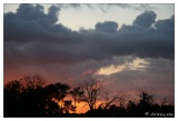 20080603-Coucher_soleil-8402.jpg