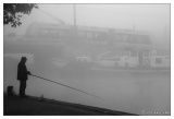 20081018-Brouillard_du_matin-8273.jpg