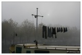 20081018-Brouillard_du_matin-8335.jpg