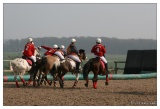 20090405-Horseball-1884.jpg