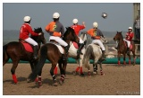 20090405-Horseball-1895.jpg