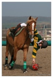 20090405-Horseball-1914.jpg