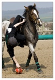 20090405-Horseball-1936.jpg