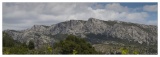20100618-Pres_de_Vingrau-4676.jpg