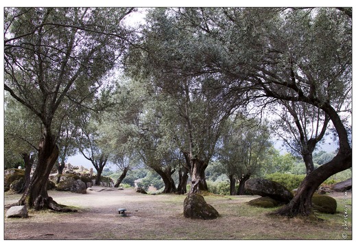 20120912-014 6325-Corse Filitosa 