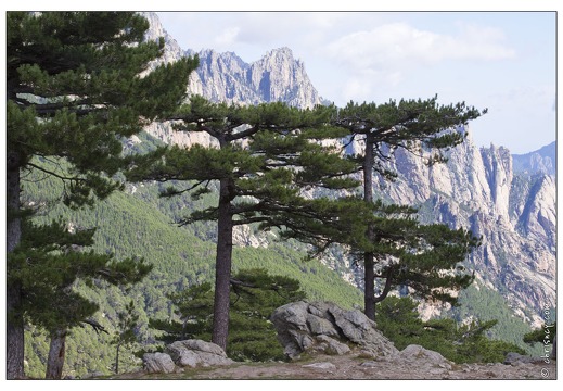 20120917-027 6947-Corse Col de Bavella