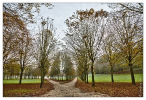 20121109-0722-Paris Parc de Saint Cloud-HDR