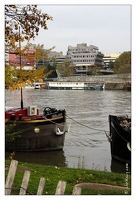 20121109-1445-Paris La Seine a Sevres