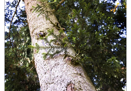 20121019-0110-Raon Etape etang criquette