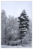 20121205-1506-Les Vosges sous la neige