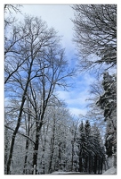 20121205-1538-Les Vosges sous la neige