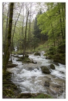 20130504-5373-Cascade du Herisson