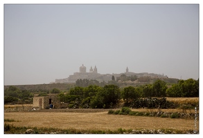 20130522-065 6212-Malte Mdina