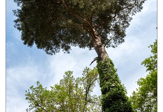 20130619-8343-Jardins de Callunes