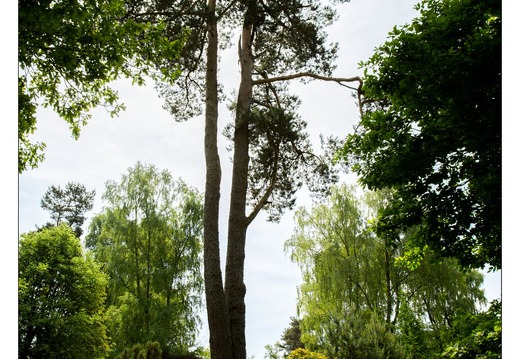 20130619-8349-Jardins de Callunes