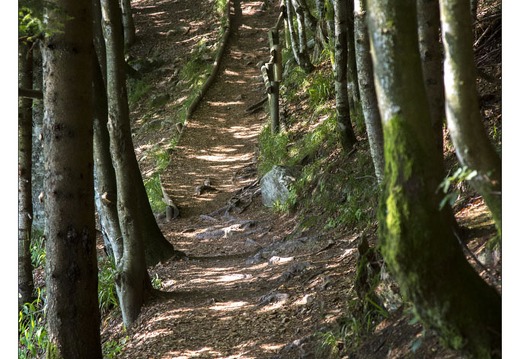 20130720-09963-Lac Lispach