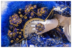 20140411-24 8884-Remiremont Carnaval Venitien