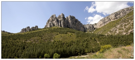 20140513-20 0397-La Sainte Baume  pano