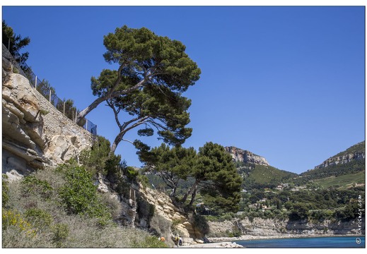 20140514-06 0506-Cassis Anse du Corton Pointe de la Goye