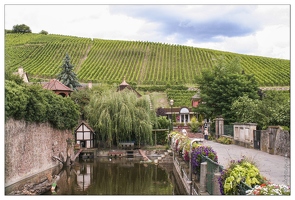 Riquewihr