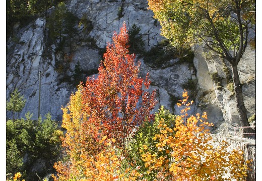20061013-1075 3967-montee Col Allos
