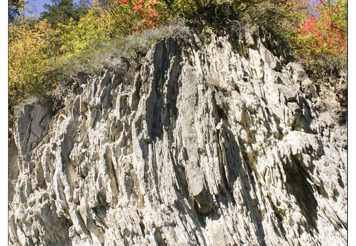 20061013-1078 3970-montee Col Allos