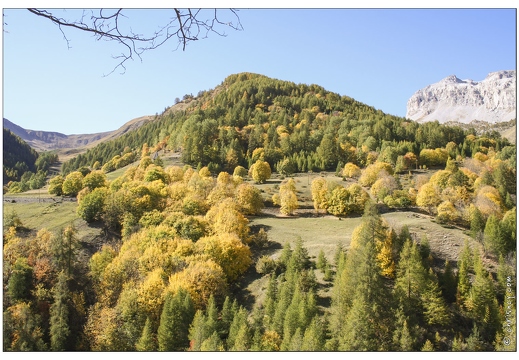 20061013-1094 3986-montee Col Allos