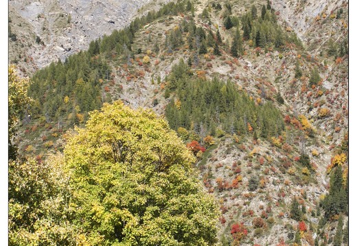 20061013-1101 3993-montee Col Allos