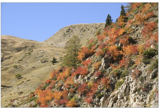20061013-1118 4008-montee Col Allos