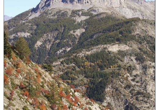20061013-1134 4020-montee Col Allos Pain de Sucre