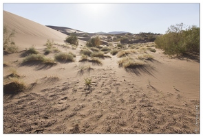 20140628-084 2856-Altyn Emel la dune chantante