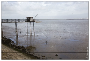 20140826-008 5623-Talais sur la gironde