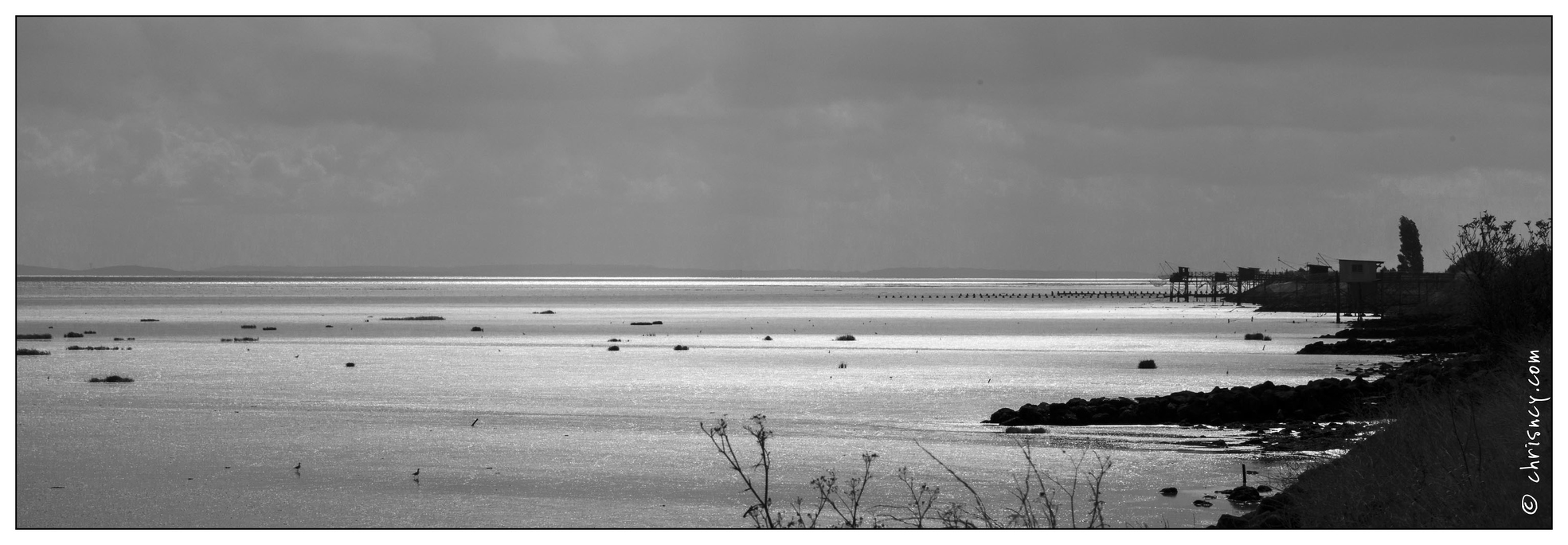 20140826-012_5611-Talais_sur_la_gironde.jpg