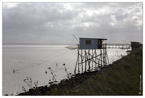 20140826-016 5614-Talais sur la gironde