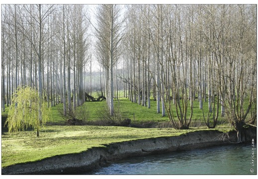 20070406-1821-Sorcy Saint Martin w