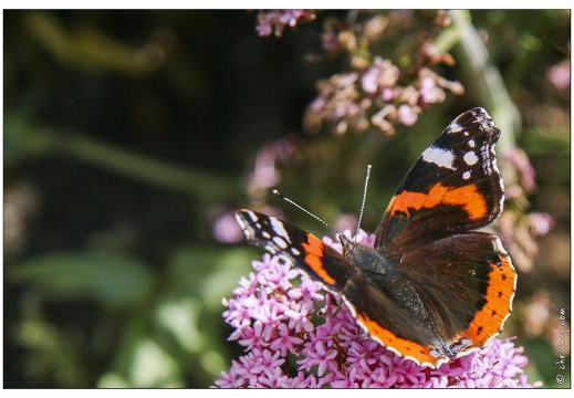 20070530-3070-Vulcain