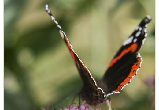 20070530-3092-Vulcain