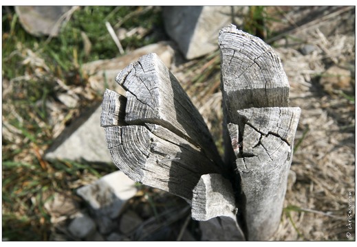 20070520-10 1860-Au Grand Ballon w