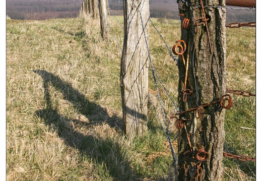 20080224-5416-Piquet