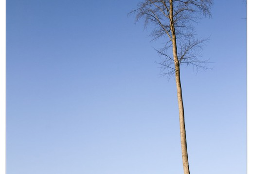 20080224-5507-Avant garde Pompey