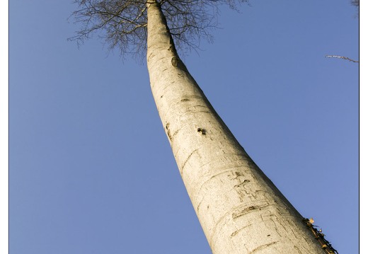 20080224-5510-Avant garde Pompey