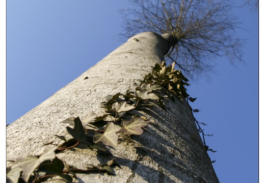 20080224-5512-Avant garde Pompey